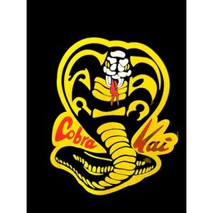 Cobra Kai Graphic T-Shirt Netflix TV Show Logo Tee‎ XL